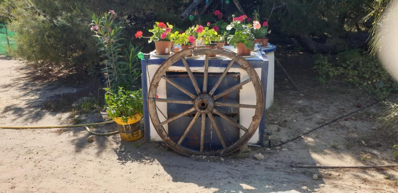 En Finca Las Dunas Dos Chalets Con Jacuzzis En Primera Linea De Playa , Uno De 4 Dormitorios Y Otro De 2 Dormitorios, Llama Al Seiscientos Veintisiete Cuatrocientos Diecisiete Trescientos Noventa Y Ocho ロタ エクステリア 写真