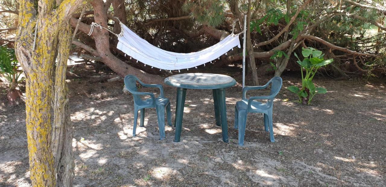 En Finca Las Dunas Dos Chalets Con Jacuzzis En Primera Linea De Playa , Uno De 4 Dormitorios Y Otro De 2 Dormitorios, Llama Al Seiscientos Veintisiete Cuatrocientos Diecisiete Trescientos Noventa Y Ocho ロタ エクステリア 写真