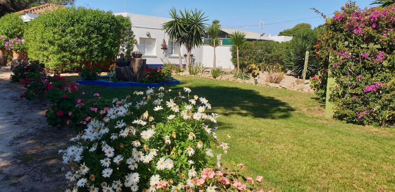 En Finca Las Dunas Dos Chalets Con Jacuzzis En Primera Linea De Playa , Uno De 4 Dormitorios Y Otro De 2 Dormitorios, Llama Al Seiscientos Veintisiete Cuatrocientos Diecisiete Trescientos Noventa Y Ocho ロタ エクステリア 写真