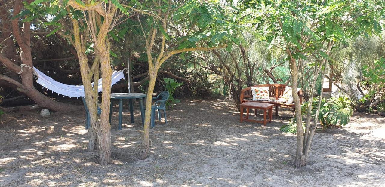 En Finca Las Dunas Dos Chalets Con Jacuzzis En Primera Linea De Playa , Uno De 4 Dormitorios Y Otro De 2 Dormitorios, Llama Al Seiscientos Veintisiete Cuatrocientos Diecisiete Trescientos Noventa Y Ocho ロタ エクステリア 写真
