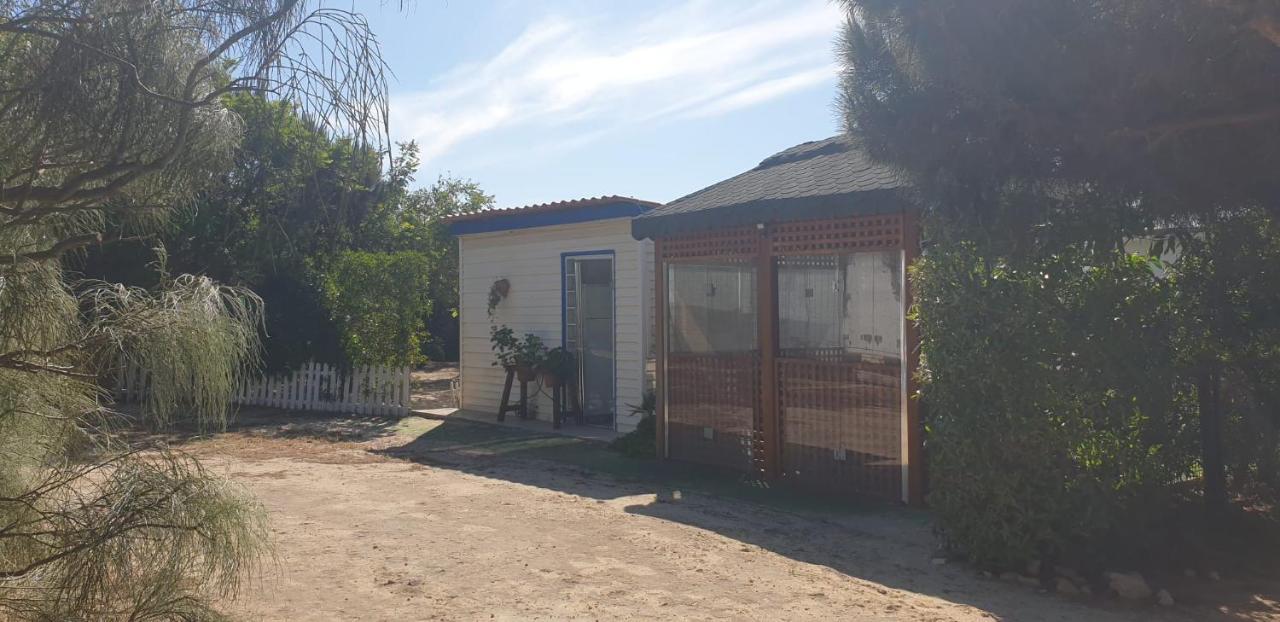 En Finca Las Dunas Dos Chalets Con Jacuzzis En Primera Linea De Playa , Uno De 4 Dormitorios Y Otro De 2 Dormitorios, Llama Al Seiscientos Veintisiete Cuatrocientos Diecisiete Trescientos Noventa Y Ocho ロタ エクステリア 写真