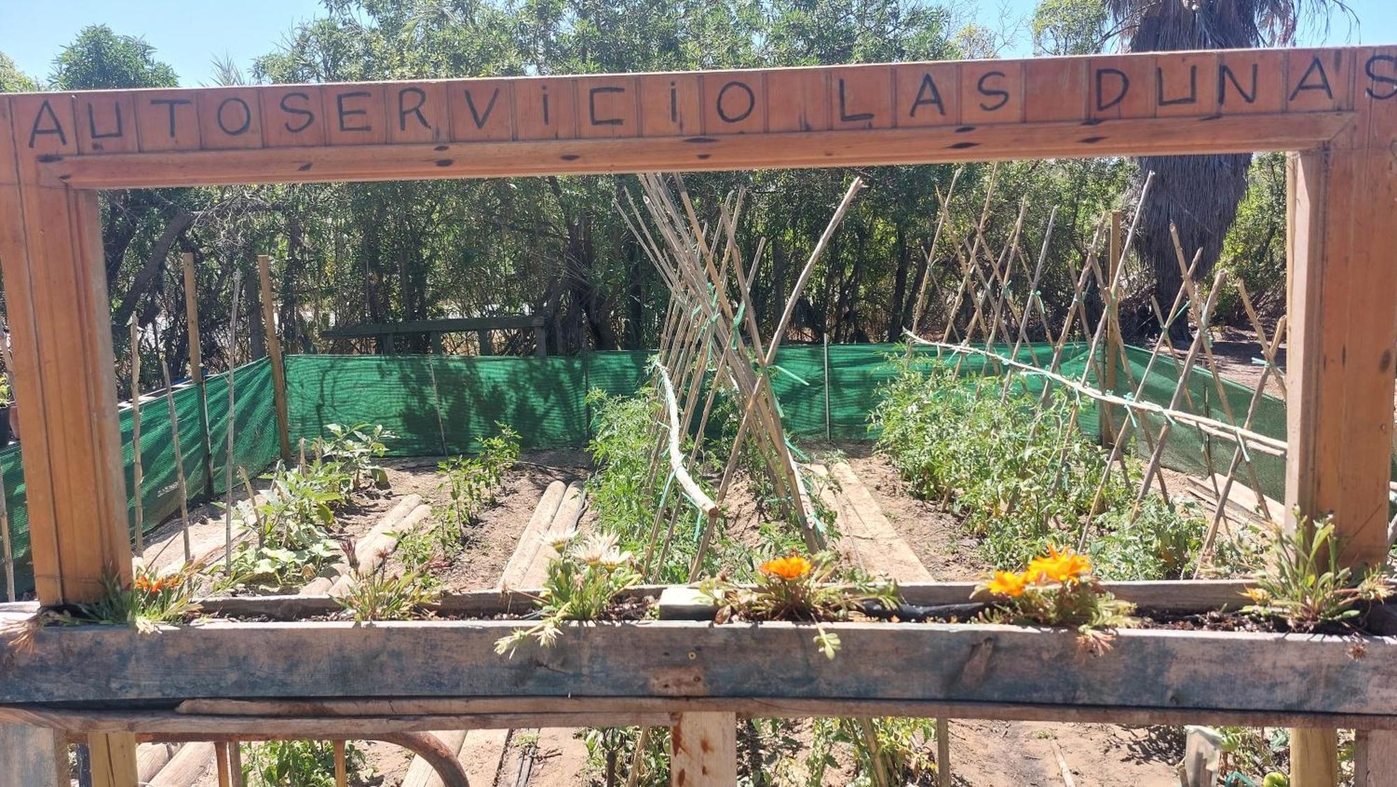 En Finca Las Dunas Dos Chalets Con Jacuzzis En Primera Linea De Playa , Uno De 4 Dormitorios Y Otro De 2 Dormitorios, Llama Al Seiscientos Veintisiete Cuatrocientos Diecisiete Trescientos Noventa Y Ocho ロタ 部屋 写真
