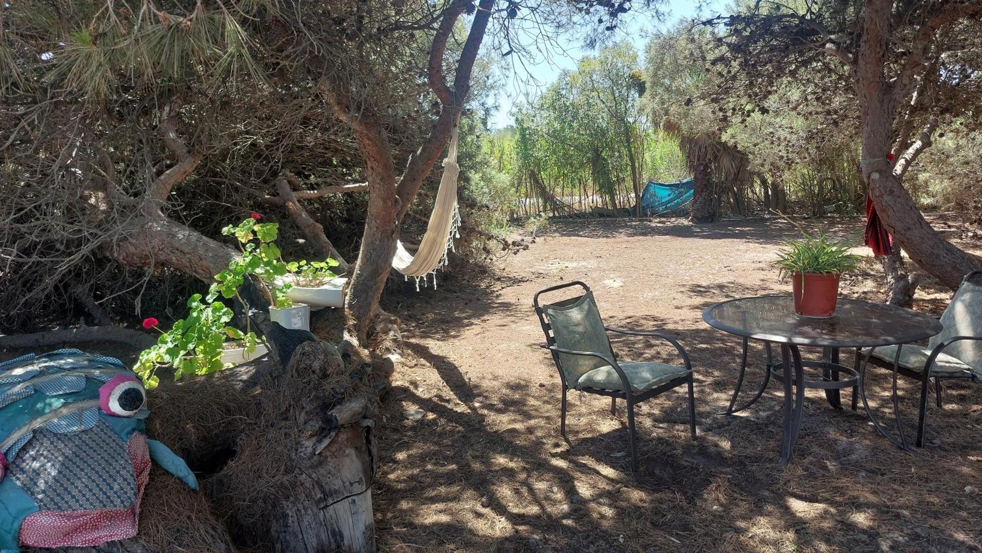 En Finca Las Dunas Dos Chalets Con Jacuzzis En Primera Linea De Playa , Uno De 4 Dormitorios Y Otro De 2 Dormitorios, Llama Al Seiscientos Veintisiete Cuatrocientos Diecisiete Trescientos Noventa Y Ocho ロタ エクステリア 写真