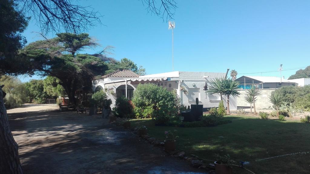 En Finca Las Dunas Dos Chalets Con Jacuzzis En Primera Linea De Playa , Uno De 4 Dormitorios Y Otro De 2 Dormitorios, Llama Al Seiscientos Veintisiete Cuatrocientos Diecisiete Trescientos Noventa Y Ocho ロタ エクステリア 写真