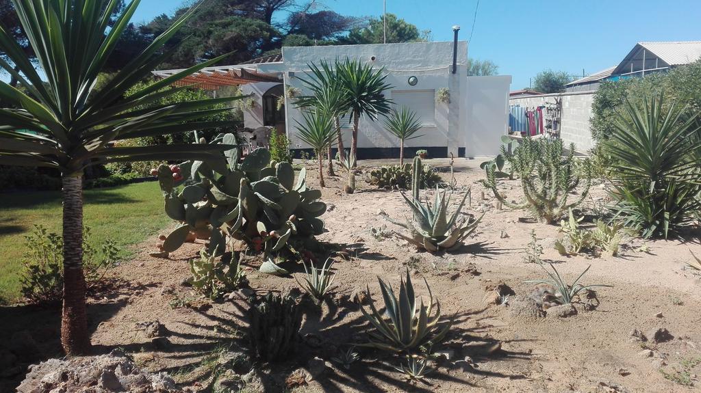 En Finca Las Dunas Dos Chalets Con Jacuzzis En Primera Linea De Playa , Uno De 4 Dormitorios Y Otro De 2 Dormitorios, Llama Al Seiscientos Veintisiete Cuatrocientos Diecisiete Trescientos Noventa Y Ocho ロタ エクステリア 写真