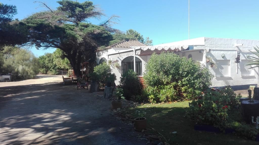En Finca Las Dunas Dos Chalets Con Jacuzzis En Primera Linea De Playa , Uno De 4 Dormitorios Y Otro De 2 Dormitorios, Llama Al Seiscientos Veintisiete Cuatrocientos Diecisiete Trescientos Noventa Y Ocho ロタ エクステリア 写真