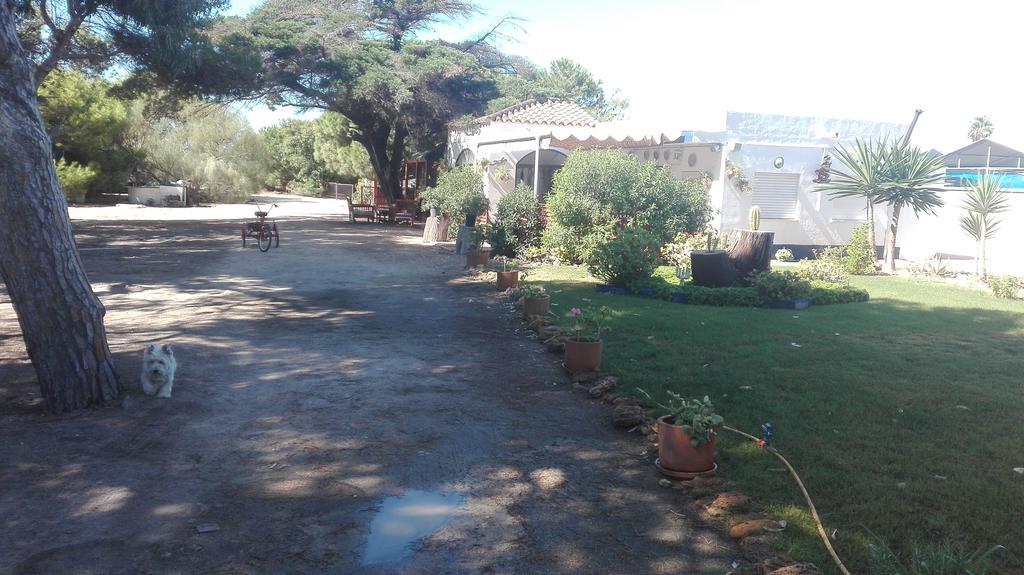 En Finca Las Dunas Dos Chalets Con Jacuzzis En Primera Linea De Playa , Uno De 4 Dormitorios Y Otro De 2 Dormitorios, Llama Al Seiscientos Veintisiete Cuatrocientos Diecisiete Trescientos Noventa Y Ocho ロタ エクステリア 写真