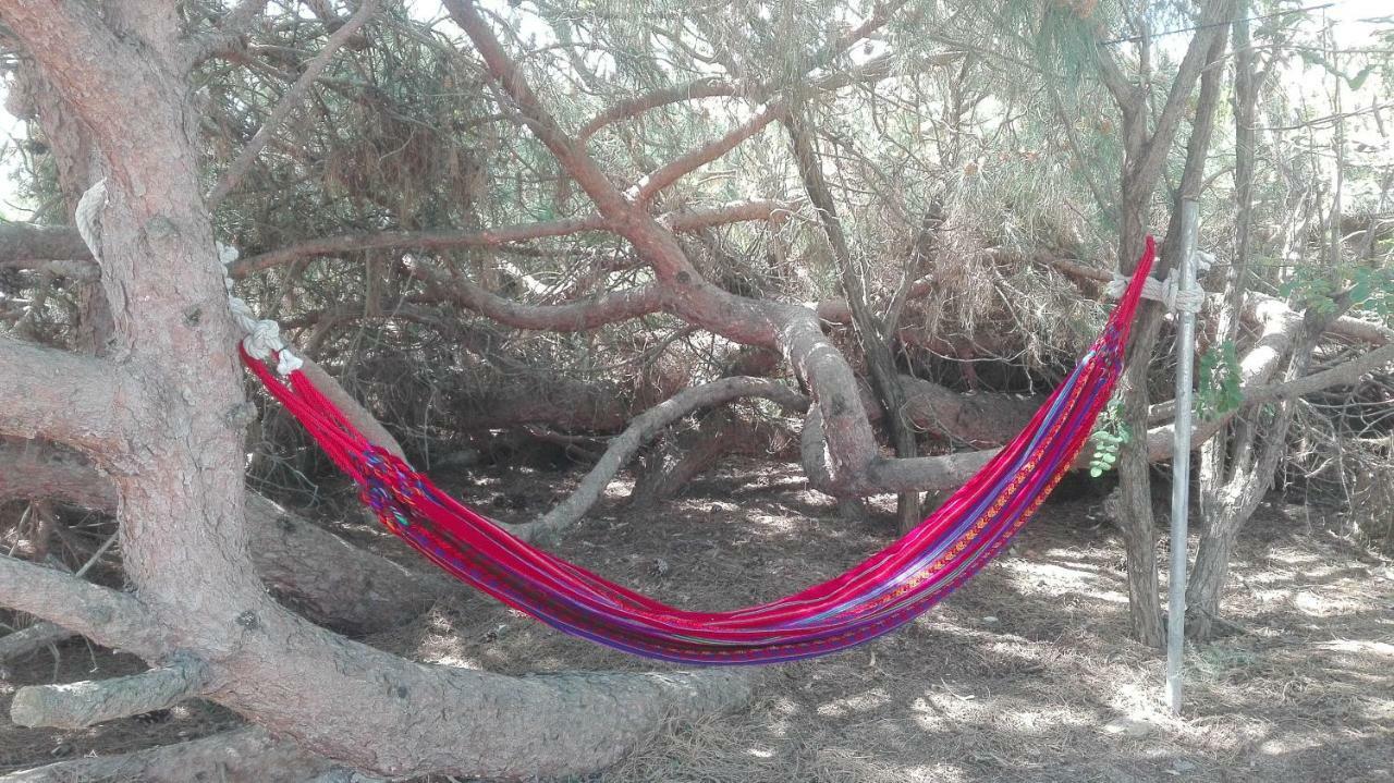 En Finca Las Dunas Dos Chalets Con Jacuzzis En Primera Linea De Playa , Uno De 4 Dormitorios Y Otro De 2 Dormitorios, Llama Al Seiscientos Veintisiete Cuatrocientos Diecisiete Trescientos Noventa Y Ocho ロタ エクステリア 写真