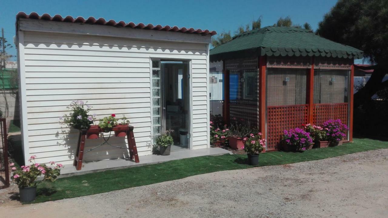 En Finca Las Dunas Dos Chalets Con Jacuzzis En Primera Linea De Playa , Uno De 4 Dormitorios Y Otro De 2 Dormitorios, Llama Al Seiscientos Veintisiete Cuatrocientos Diecisiete Trescientos Noventa Y Ocho ロタ エクステリア 写真